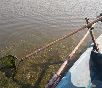 打撈湖面漂浮物，凈化水環境